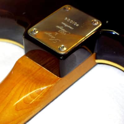 St. Blues  Strings & Things Guitar Blues King IV 1982 Wine. EXTREMELY RARE.  Mahogany Body. Memphis image 17