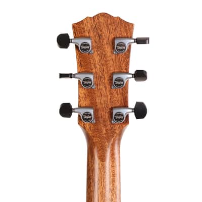 Taylor Gold Label Collection 810e Acoustic-Electric image 11