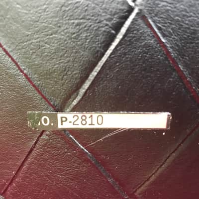 Polytone Mini-Brute III 1970s imagen 8