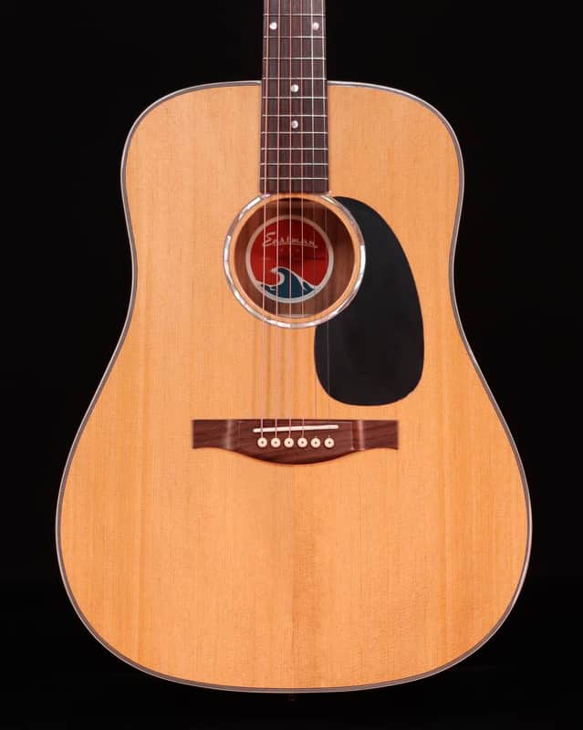 Eastman PCH2D, Solid Thermo-Cure Sitka Spruce Top, Laminated Rosewood Back and Sides image 1