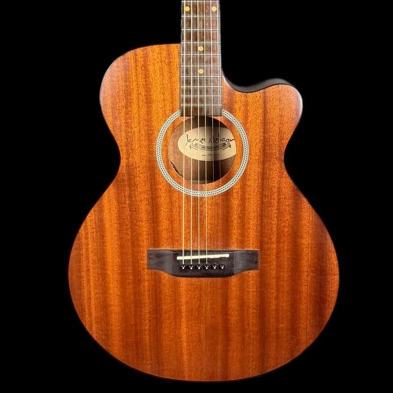 James Neligan DEV-ACFI Deveron series, Auditorium Electro Acoustic Guitar image 1
