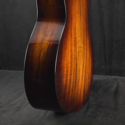 Taylor 224ce-K DLX Shaded Edgeburst image 6