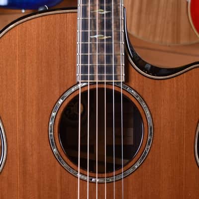 Taylor 814CE Builder's Edition image 6