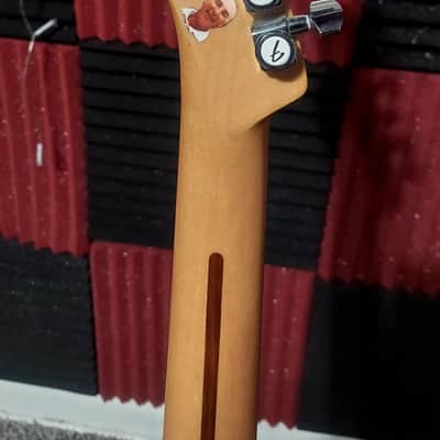 Fender Telecaster Partscaster Nashville Neck imagen 6