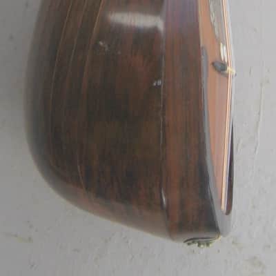 Calace Mandolin 1905 - Natural image 6