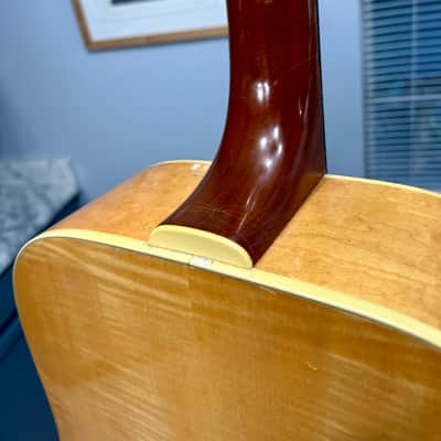 1973 Guild D-44M Solid Maple, Fresh Neck Reset, Bob Colosi Equipped image 14