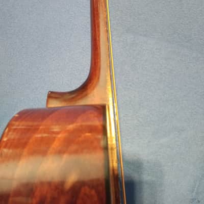 Musima (höchstwahrscheinlich) Wandergitarre 7/8 mensur ≈ 1967–1975 - helle & dunkle Hölzer image 20