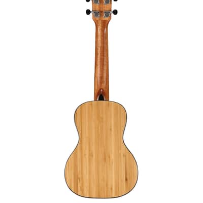 Alvarez MU55C Masterworks Concert Ukulele (Natural Gloss) image 4