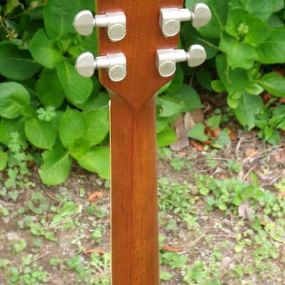 1973 Yairi YW600G Grammer Guitar Style New Jacaranda - Natural+Flight Case image 9