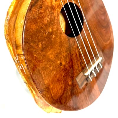 Turtle Shell Tenor Ukulele image 9