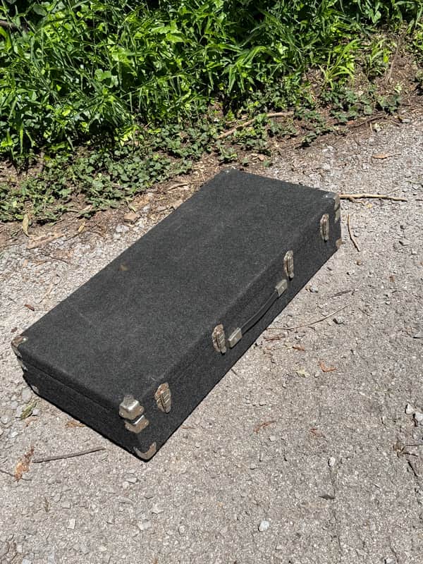 GFI D10 Pedal Steel Guitar Hard Case 2014 - Grey image 1