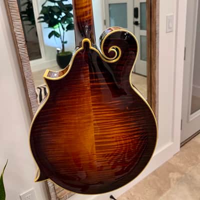 Aleyas F5D 2013-2020 - Sunburst Varnish Finish image 2