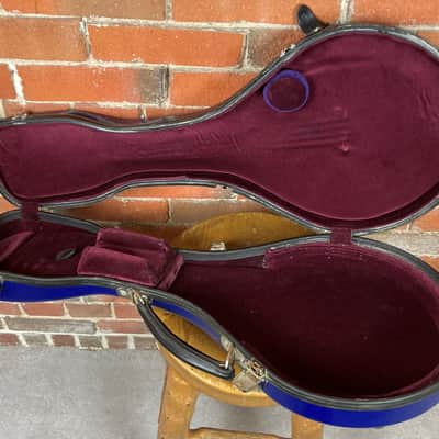 Pegasus A Mandolin Case - Blue image 1