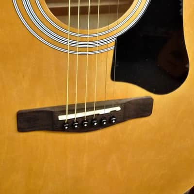 Silvertone Pro Series Acoustic image 4