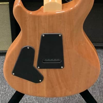 PRS SE "Exotic" Custom 24 Burled Swamp Ash Limited Edition - Natural image 5