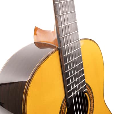 Estevé Alegria - All solid wood - Lattice Braced, Spruce/Indian Rosewood image 5