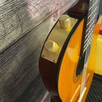 Epiphone Chet Atkins CEC Nylon Classical Acoustic Electric Guitar (Brooklyn, NY) image 2