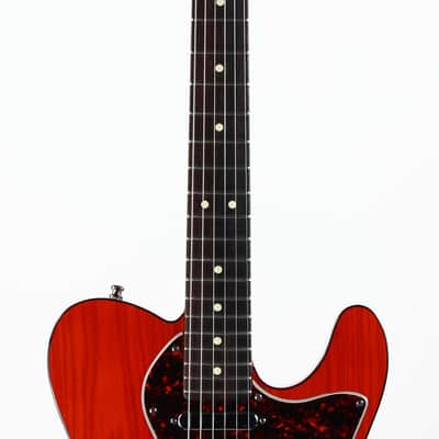 2001 Fender American 90's Telecaster Thinline DOUBLE BOUND TORTOISE Made in USA, ONE-OFF! Matching Headstock! image 6