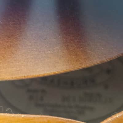 Washburn MIK newer image 5