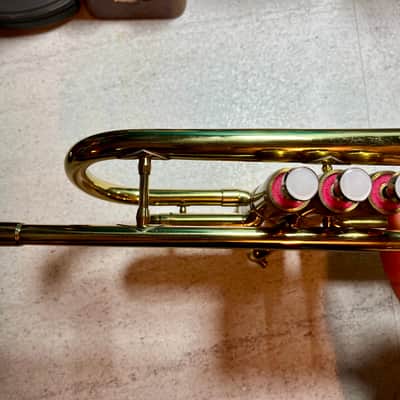 Parrot Trumpet model NO.6416 image 8