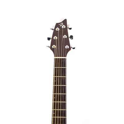 Breedlove Pro Series D25/SRH Acoustic Guitar Owned by Dave Mustaine image 5