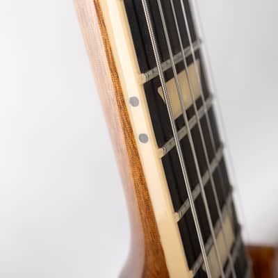 Gibson Les Paul Studio Session, Honey Burst | Demo image 16