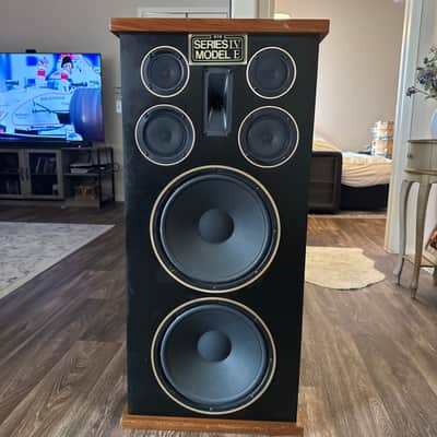 RTR Series IV Model E Vintage Speakers image 13
