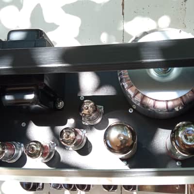 Pure Tone Amps the NEPTUNE S/N 74 2021 image 4
