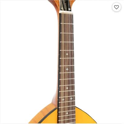 Gold Tone GM-10 Solid Spruce Top Mahogany Neck Frypan 8-String Mandolin w/ Hard Case, Free Shipping image 5