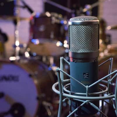 sE Electronics Z5600A II - Large Diaphragm Tube Condenser Mic with 9 Polar Patterns Z5600a II image 2