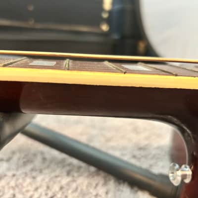 Ensenada GT81 Vintage 12-String Acoustic Guitar Double Dove / Mountain Pickguard w/ Case image 11