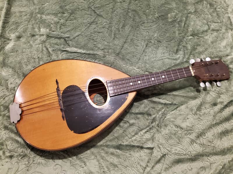 1920's Weymann Mandolute image 1