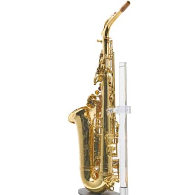 Giardinelli by Eastman GAS10 Alto Saxophone in Gold Lacquer SN 11533980 image 14