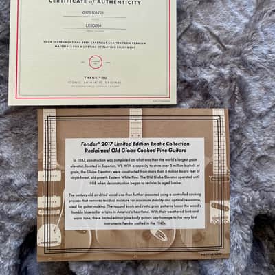 Fender Telecaster - Limited Edition - Exotic Collection 2017 - beige image 13