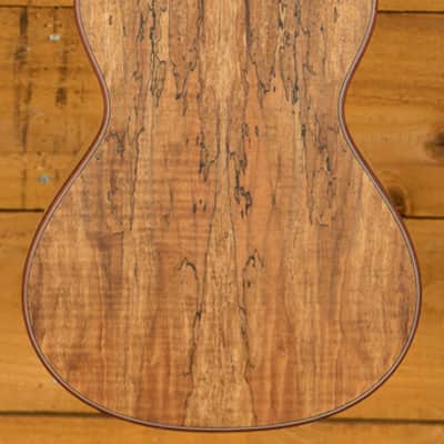 Cordoba 24T Spruce Tenor Ukulele | Natural image 4