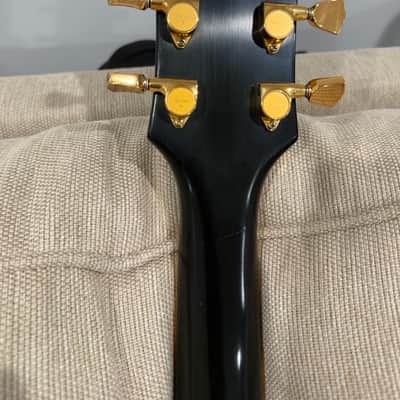 Edwards LP-98 LTC 2010 - Nitro image 4
