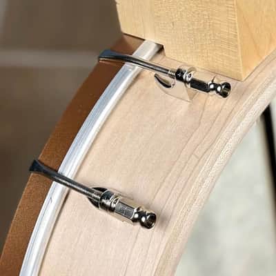 Custom Deering Goodtime 19-Fret Tenor Banjo Fiberskin 2026 image 13