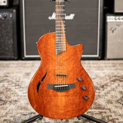 Taylor Custom Shop T5z Custom #C0960 Figured Ironbark/Shamel Ash Hollow Body Electric Guitar with Hardshell Case image 3