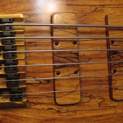 Drake Custom 6 string Fretless  2017 - gloss poly image 13