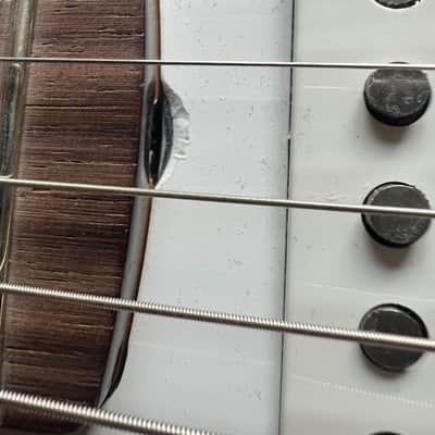 Fender Custom Shop Robert Cray Stratocaster 1993 - Present - Inca Silver image 9