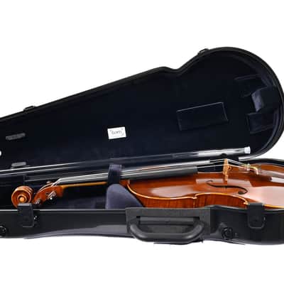 Alexander Oosten Rijswijk 1973 Alto Violin image 11