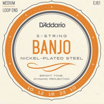 D'Addario Banjo Strings Nickel Steel Loop End Medium EJ61 image 3
