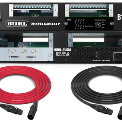 Burl Audio B16 MOTHERSHIP 3 AD/DA Converter with BMB1 DigiLink Motherboard image 1