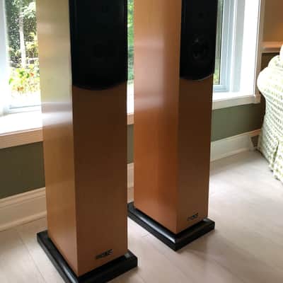 Salk SongTower QWT  Speakers image 1