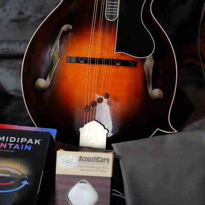 Gold Tone Grandmaster Mandolin Elite - Burst Finish #5307 image 2