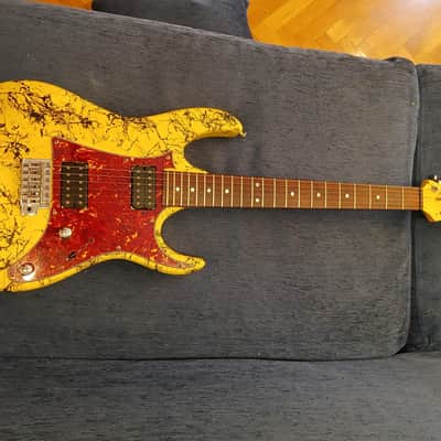 Ibanez GIO custom paint // Tortoise Pickguard with Ibanez Quantum pickups image 24