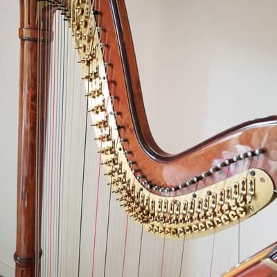 Salvi Symphony Harp image 5