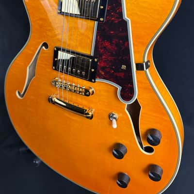 D'Angelico Excel DC Semi-Hollow Body Electric Guitar Amber Finish w/ OHSC image 7