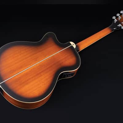 Washburn EA15 Tobacco Burst image 7