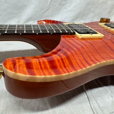 PRS Paul Reed Smith Custom 24 Artist Package Guitar with Case 2003 image 18